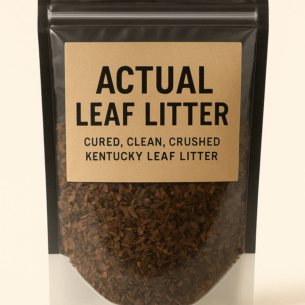 actual leaf litter