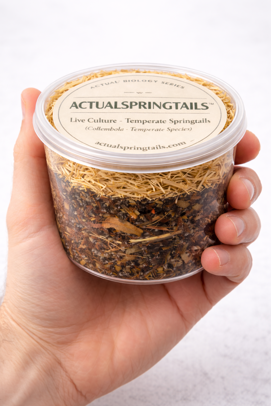 Live Temperate Springtail Culture – Bioactive Clean-Up Crew | ActualSpringtails™