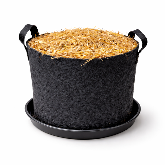 ACTUAL™ Ready-to-Grow Pot