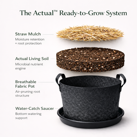 ACTUAL™ Ready-to-Grow Pot