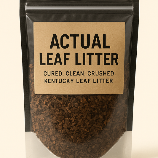 actual leaf litter